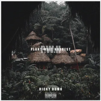 Plant Wait Harvest by Ricky Domo