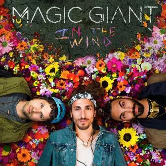 In The Wind by MAGIC GIANT