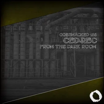 From the Dark Room EP by Ced.Rec