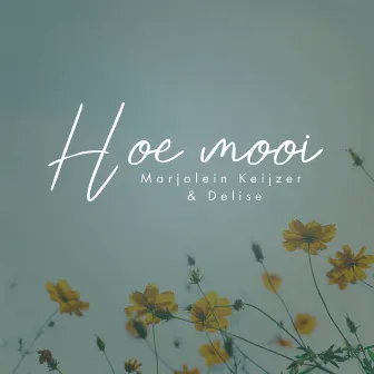 Hoe mooi by Marjolein Keijzer