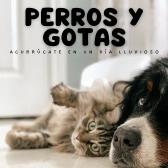 Perros Y Gotas: Acurrúcate En Un Día Lluvioso by Sonidos relajantes para perros