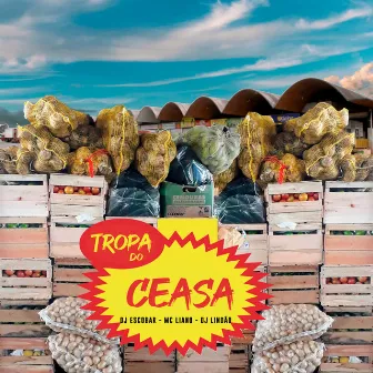 Tropa do Ceasa by Mc Liano