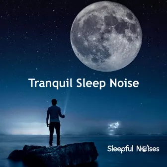 Tranquil Sleep Noise by Unknown Artist