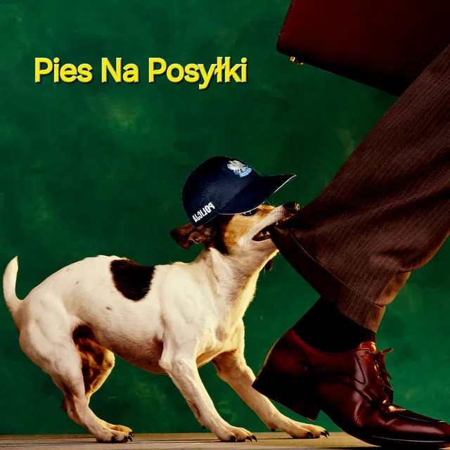 Pies Na Posyłki