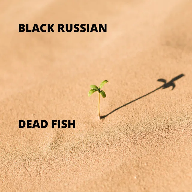 Dead Fish