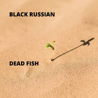 Dead Fish by Black Russian