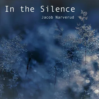 In the Silence by Jacob Narverud