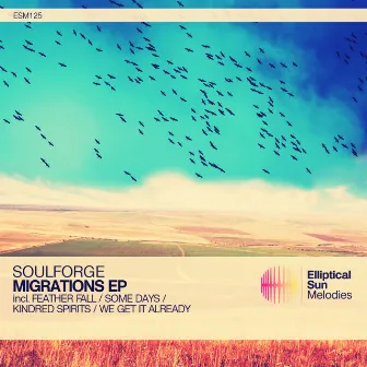 Migrations EP by Soulforge