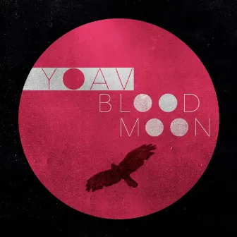 Blood Moon by Yoav