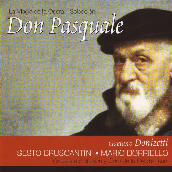 Don Pasquale (Gaetano Donizetti) by Mario Borriello