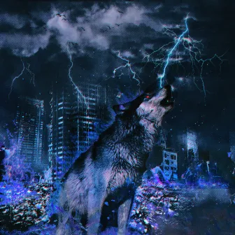 Lonely wolf by Unknown Artist