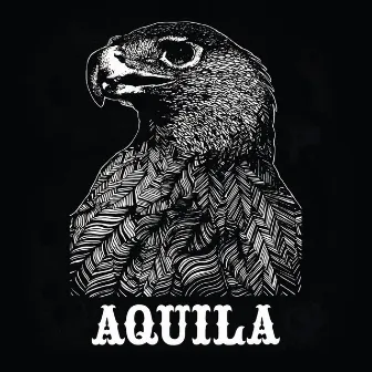 Aquila by Aquila