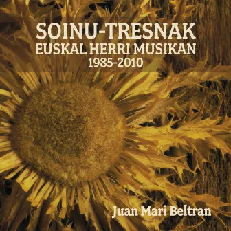 Soinu-tresnak Euskal Herri Musikan 1985-2010 by Juan Mari Beltran