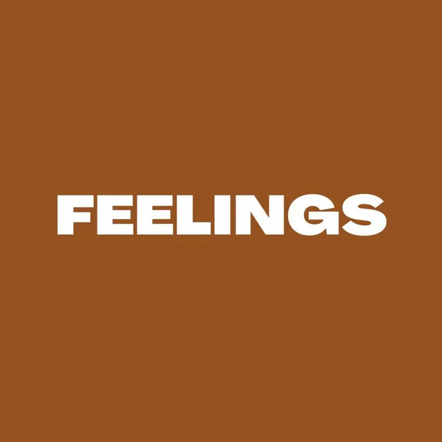 Feelings