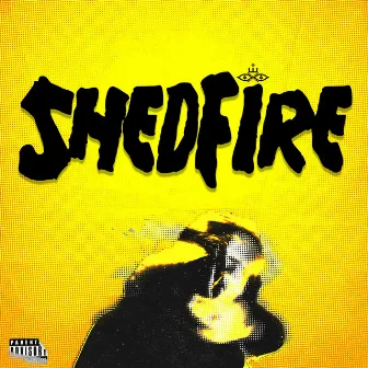 ShedFire by BrassiousMonk