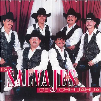 Que Falsa by Los Salvajes De Chihuahua