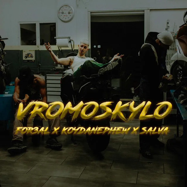 Vromoskylo