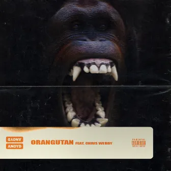 Orangutan (feat. Chris Webby) by Anoyd