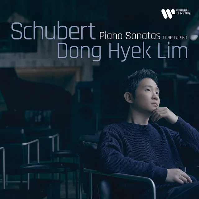 Schubert: Piano Sonata No. 20 in A Major, D. 959: II. Andantino