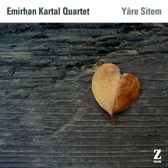 Yare Sitem by Emirhan Kartal