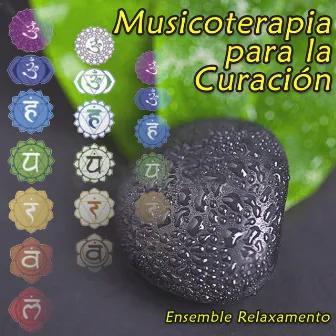 Musicoterapia para la Curación by Unknown Artist