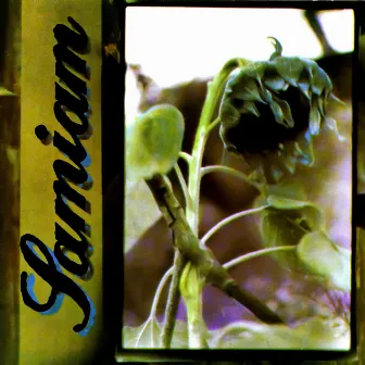 Samiam by Samiam