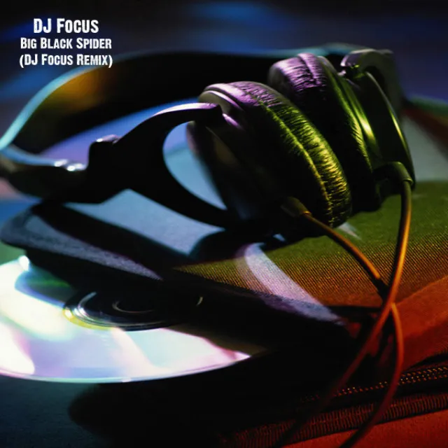 Big Black Spider (DJ Focus Remix)