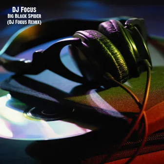 Big Black Spider (DJ Focus Remix) by DJ Focus