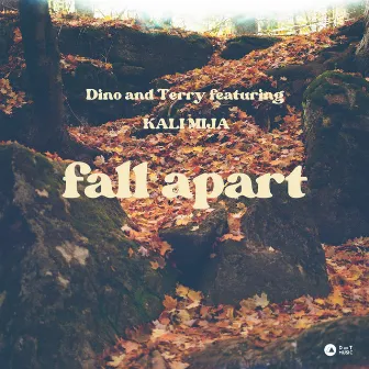 Fall Apart by Dino and Terry