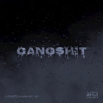 Gangshit by Lil Moon