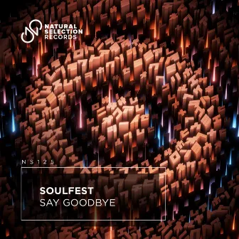 Say Goodbye by Soulfest