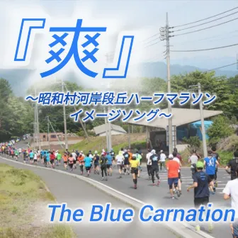 sou by The Blue Carnation