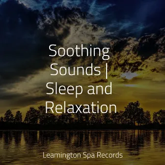 Soothing Sounds | Sleep and Relaxation by Spa