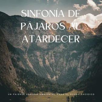 Sinfonía De Pájaros Al Atardecer: Un Paisaje Sonoro Ambiental Para El Sueño Pacífico by Pájaros de la noche