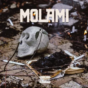 Molami by Loco Lghadab