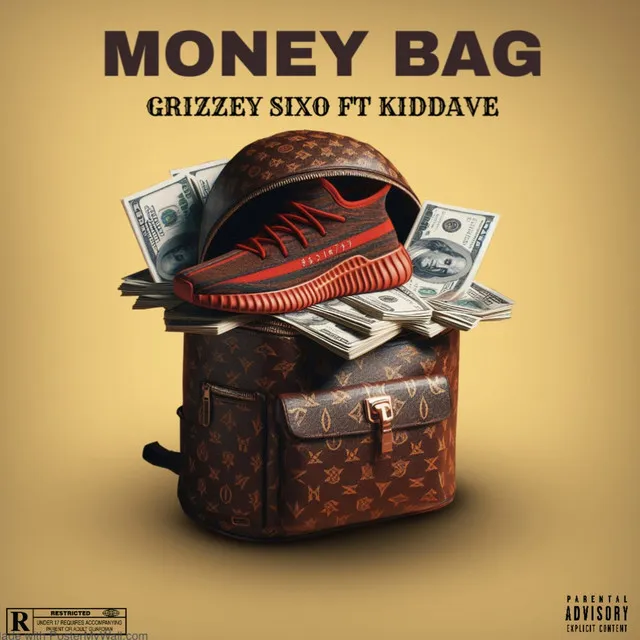 Money Bag