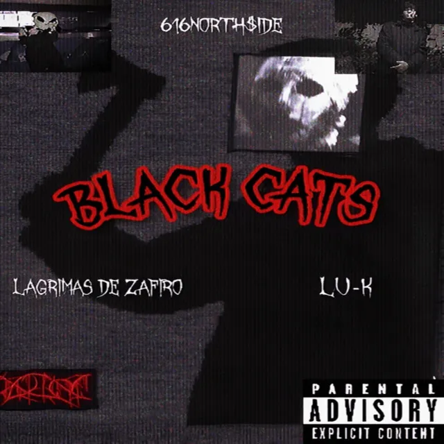 BLACK CATS