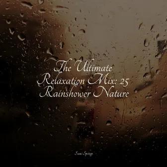 The Ultimate Relaxation Mix: 25 Rainshower Nature by Sleep Makers Samples