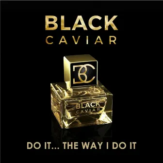 Do It... The Way I Do It by Black Caviar