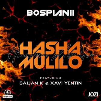 Hasha Mulilo by BosPianii