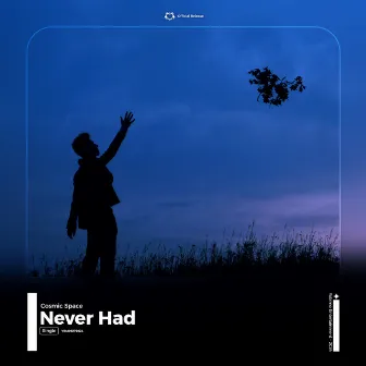 Never Had by Cosmic Space