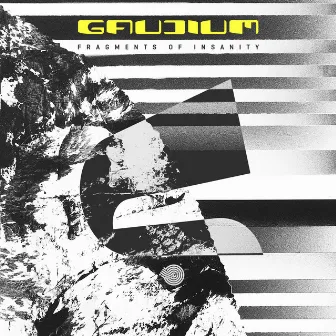 Fragments of Insanity by Gaudium