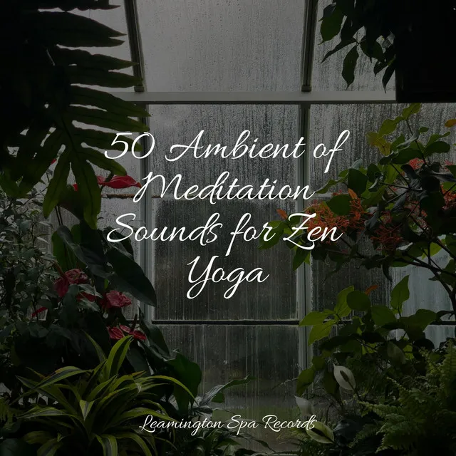 Music for Meditation and Relaxation