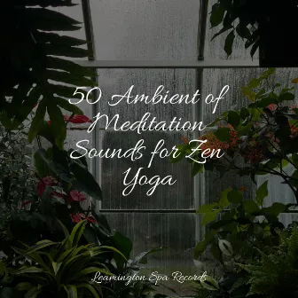 50 Ambient of Meditation Sounds for Zen Yoga by Unknown Artist