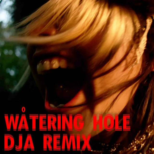 WÅTERING HOLE - DJA Remix