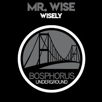 Wisely by Mr. Wise