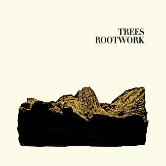 Rootwork by Trees