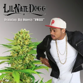 Oweee by Lil Nate Dogg