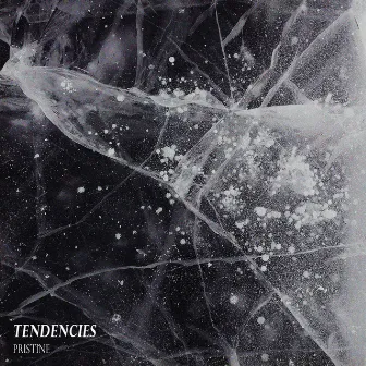 Pristine by Tendencies