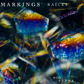 Raíces by Markings